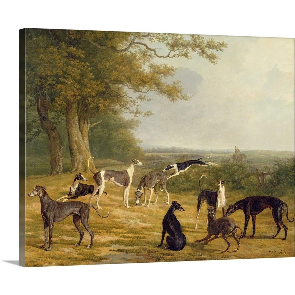 Amazon.com: CANVAS ON DEMAND Nine Greyhounds in a Landscape Canvas