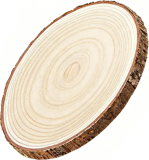 Große Baumscheibe mit Rinde 35-38cm für rustikale Wand-Deko und DIY