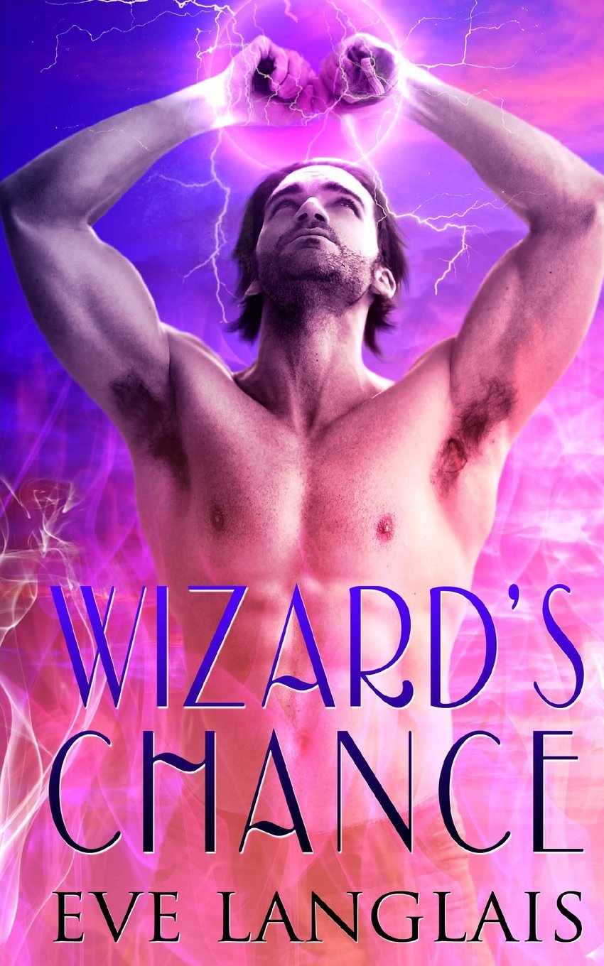 Wizard's Chance: Volume 1 (The Realm)