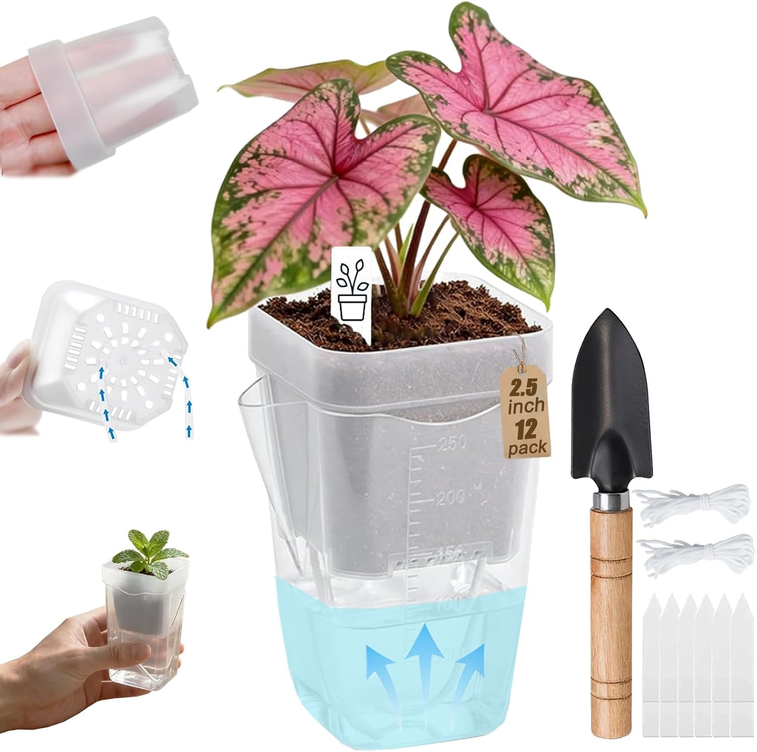2.5 Inch Self Watering Pots, Clear Nursery Pots with Drainage Holes & Visible Water Level, 12 Pack Seed Starter Pots for Seedlings, Cuttings, Succulents, Prevent Overwatering
