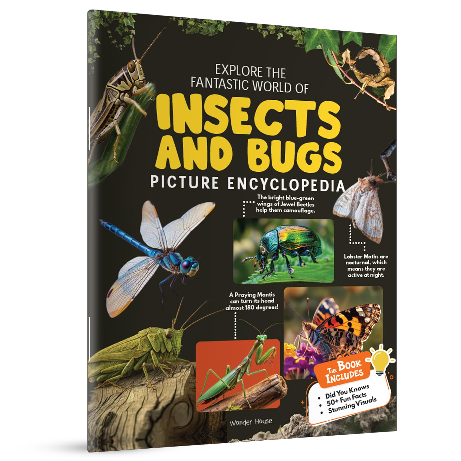 Picture Encyclopedia-Insects And Bugs