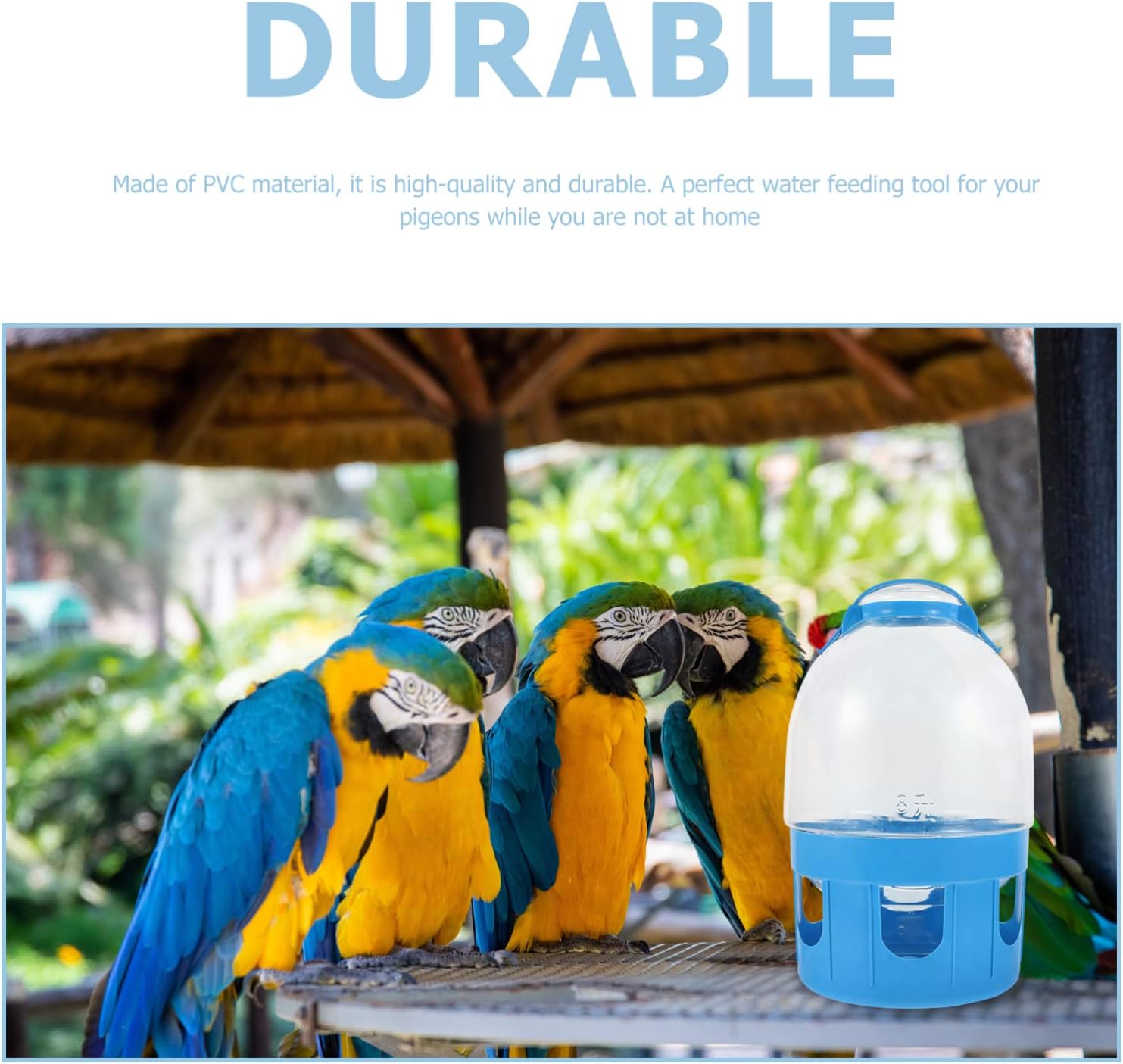 Hemobllo 1pc Automatic Pigeon Water Feeder Transparent Bird Watering Tool Inclined Cover Design for Easy Monitoring for Pigeon Care and Maintenance