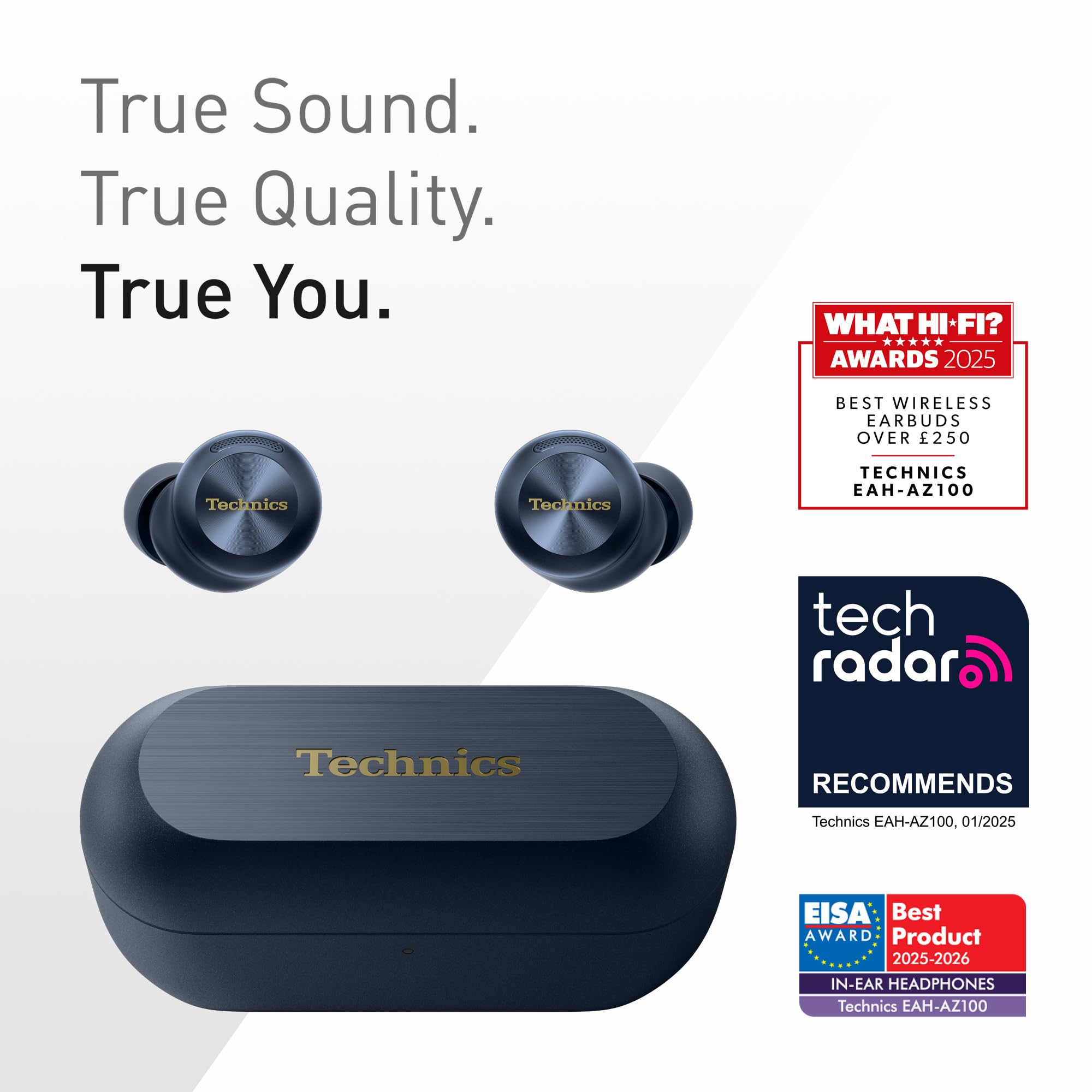 Technics EAH-AZ100E-A Auricolari Wireless con Cancellazione del Rumore — immagine 14 di 16