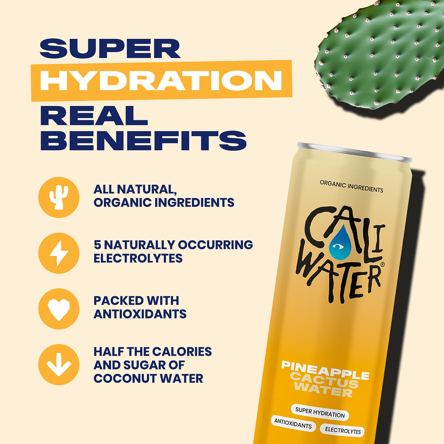 Caliwater - Organic Cactus Water - Pineapple - 5g Sugar, 35 Calories - Coconut Water Alternative - Natural Plant Based Hydration - Skin Care, Electrolyte Drinks - Flavored Water Beverages - 12 Cans - Image 3
