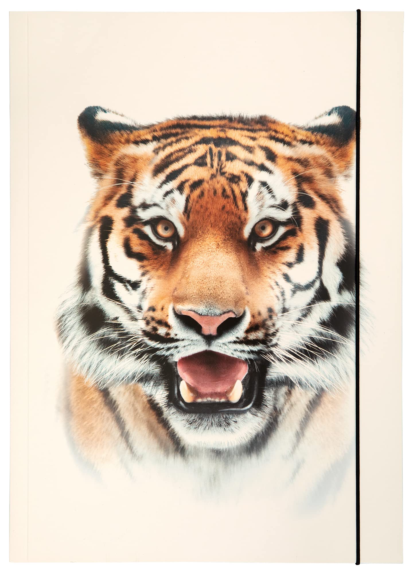 folia Basic Roaring Tiger 69004 Portfolio File A3 Made of Sturdy Cardboard with Elastic Strap