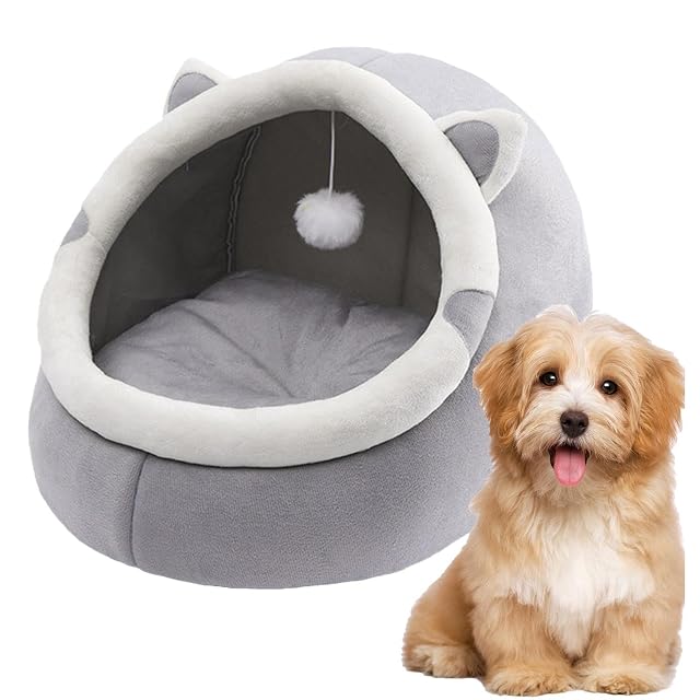 Foto 7 de 8 de Neamou Cama para Gatos,Cómoda casa con Cama para Gatos en el Interior