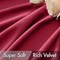 Vista 204 de MIULEE Cortinas de terciopelo de 63 pulgadas de largo, 2 paneles de cortinas opacas de lujo para dormitorio, sala de estar, cortinas de ventana