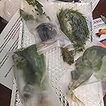 Review Image by marquelle marquelle