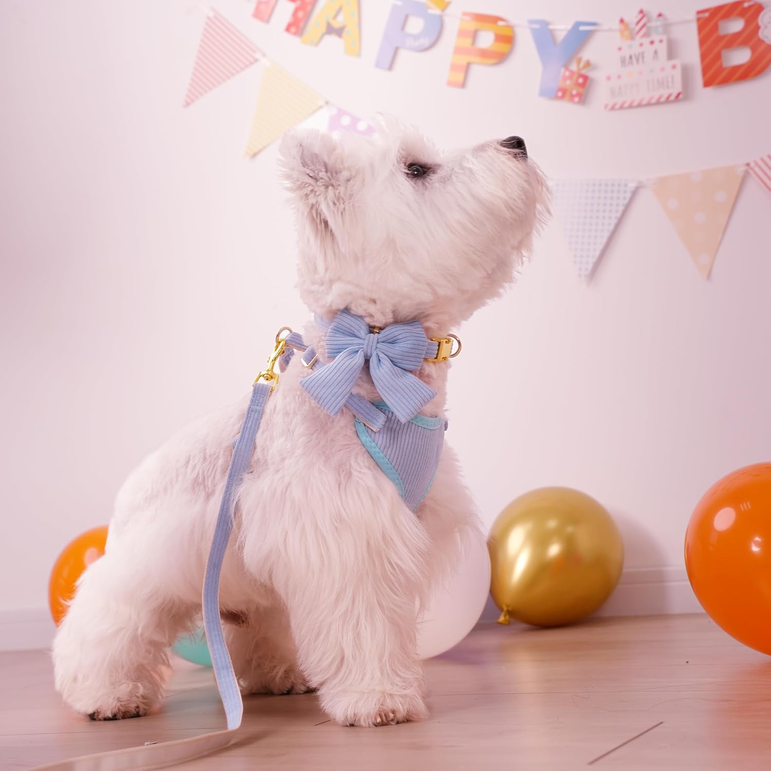Didog Cute Small Dog Harness Collar and Leash Set with Bowtie, Blue, S image 4