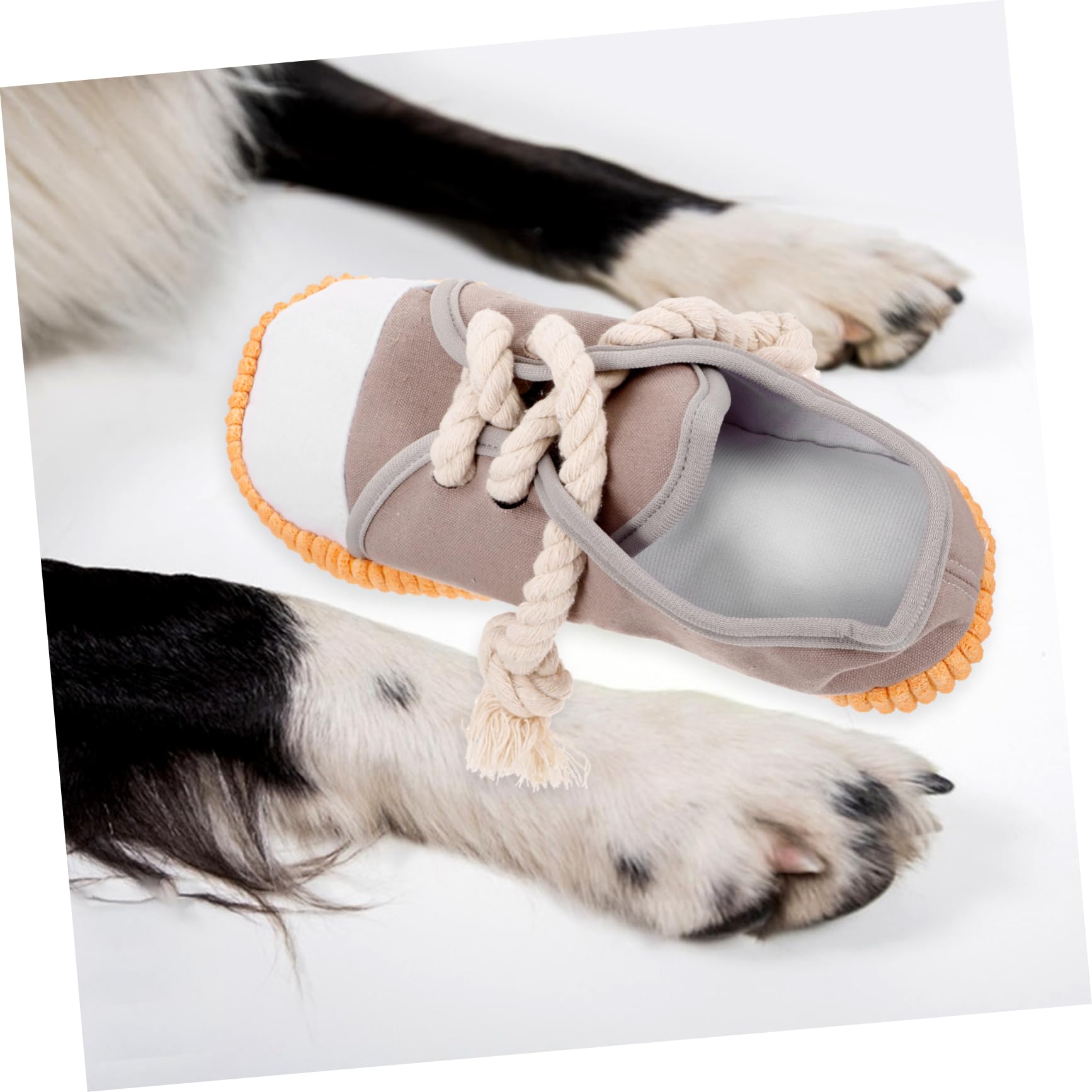 Toddmomy 4pièces Jouet à Mordre pour Chien Jouet De Nettoyage des pour Chiens Amusant avec Bruit