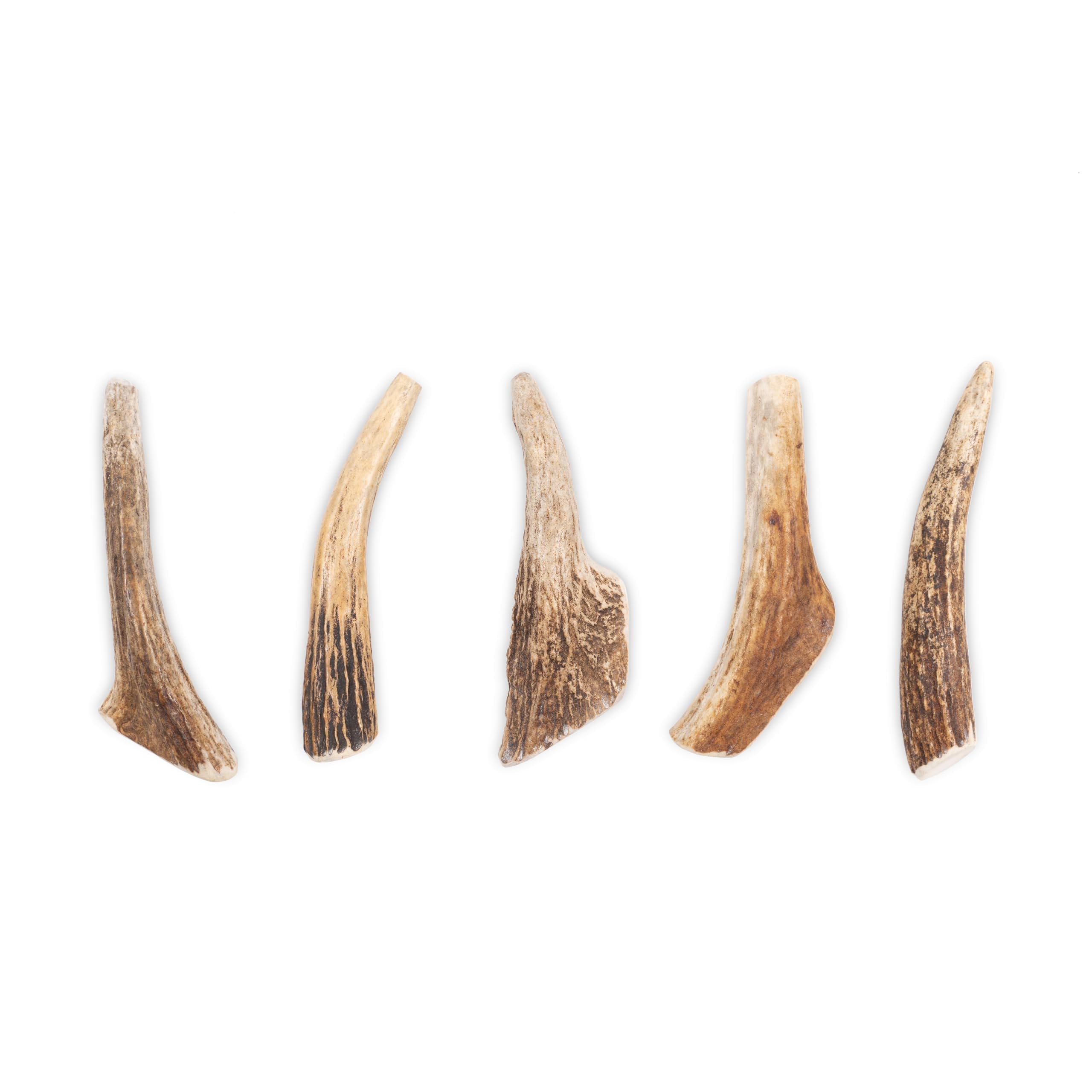 RF-Deer Bois d'élan pour Chien, Hard L, 12-17 cm, 0,5 kg | 100 % bois d'élan naturel, norme HACCP, sans colorants ni conservateurs, sans trous percés, 4-7 pièces par lot de 0,5 kg