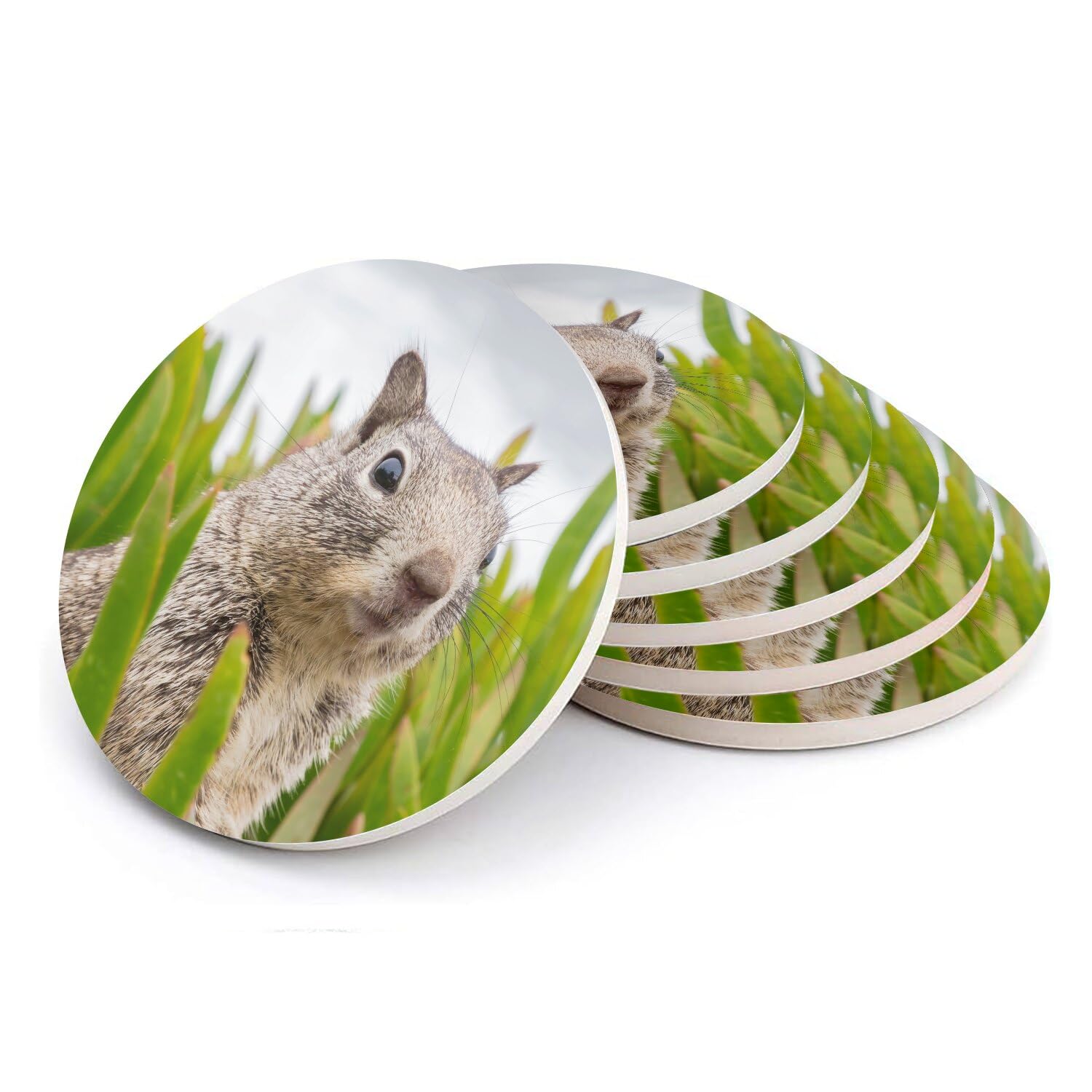 Sous verre ronds en céramique marmotte pour une touche de tendresse et nature chez soi