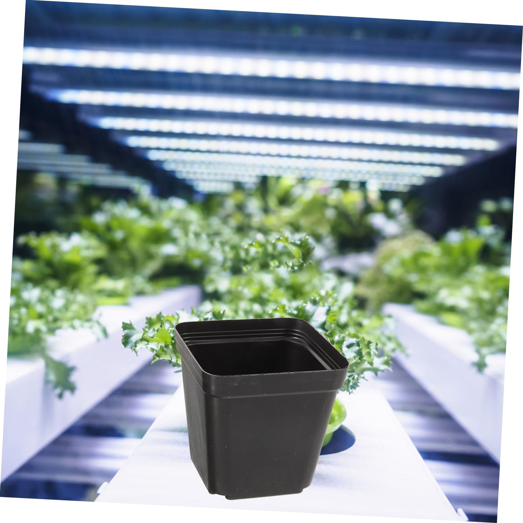 Didiseaon Vasi Da Vivaio Quadrati in Plastica Nera Con Fori Di Drenaggio, Set Da 120 Piccoli Vasi Per Semina e Giardinaggio Su Balcone e Orto, Fioriere Versatili e Facili Da Pulire Per Piante e Fiori