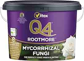 Mycorrhizal Fungi Q4 Rootmore, 2.5kg Tub : Amazon.co.uk: Garden