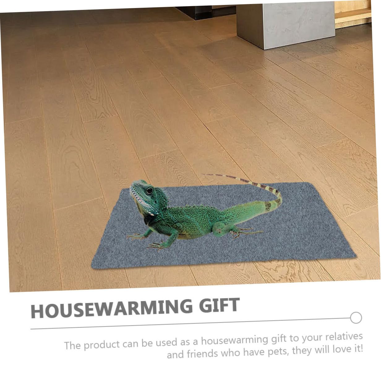 Tappeto per Terrario Rettili 2 Pezzi in Poliestere per Box | Serpente e Lucertola, Accessorio per Pet Box, Formato Pratico per Allestimento Interno