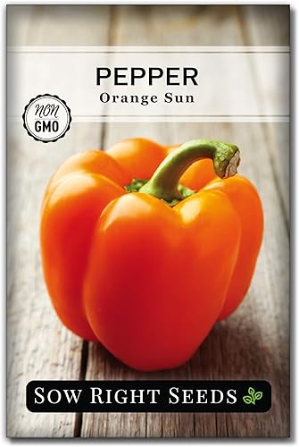 Miniatura 1 de Sow Right Seeds - Semillas de pimiento naranja para plantar - Paquete de reliquia sin OMG con instrucciones para plantar y cultivar un huerto en el