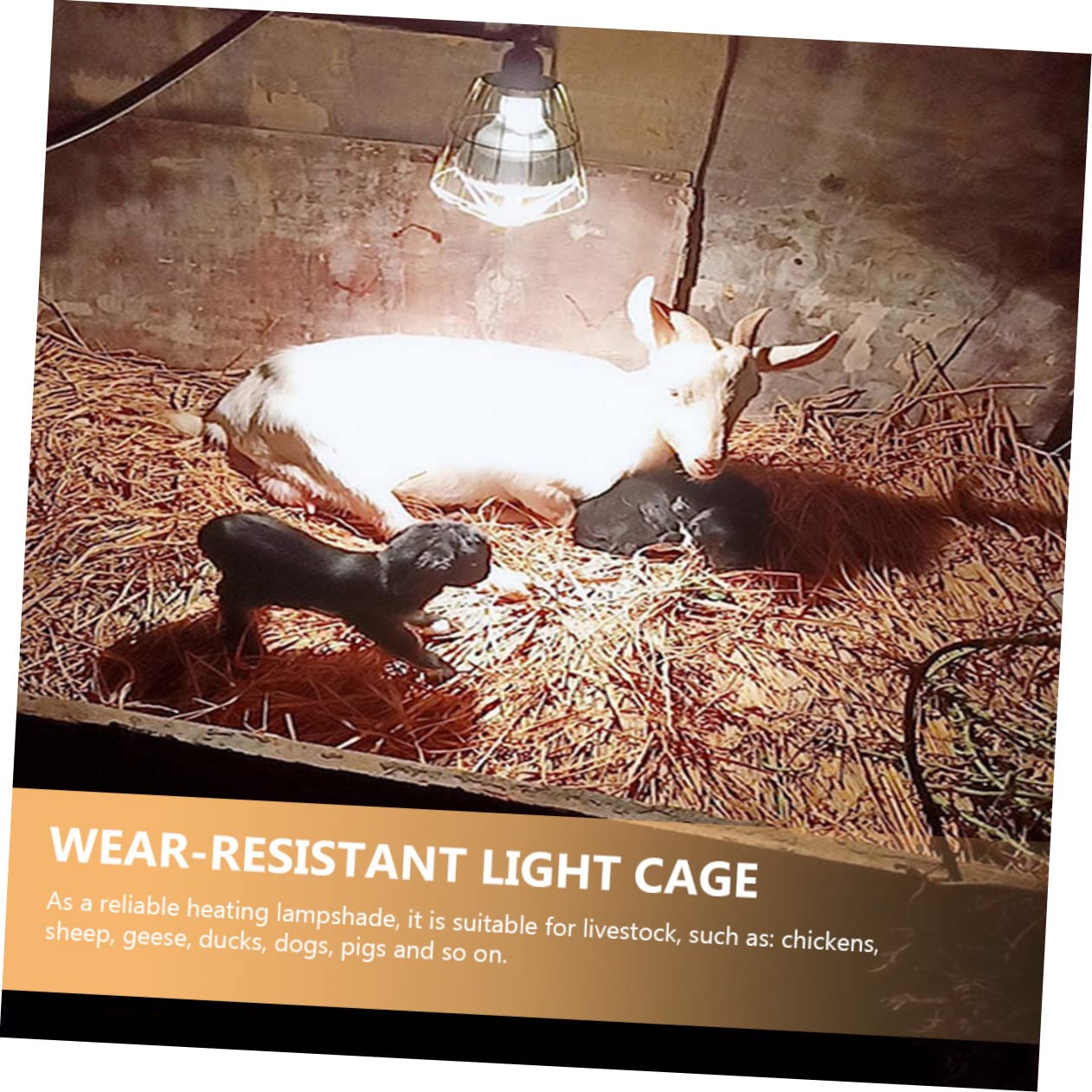 COLLBATH 3pcs Heat Lampshade for Chickens Coop Heat Light Bulb Guard Clamp Livestock Bulb Cages Sturdy Light Accessory