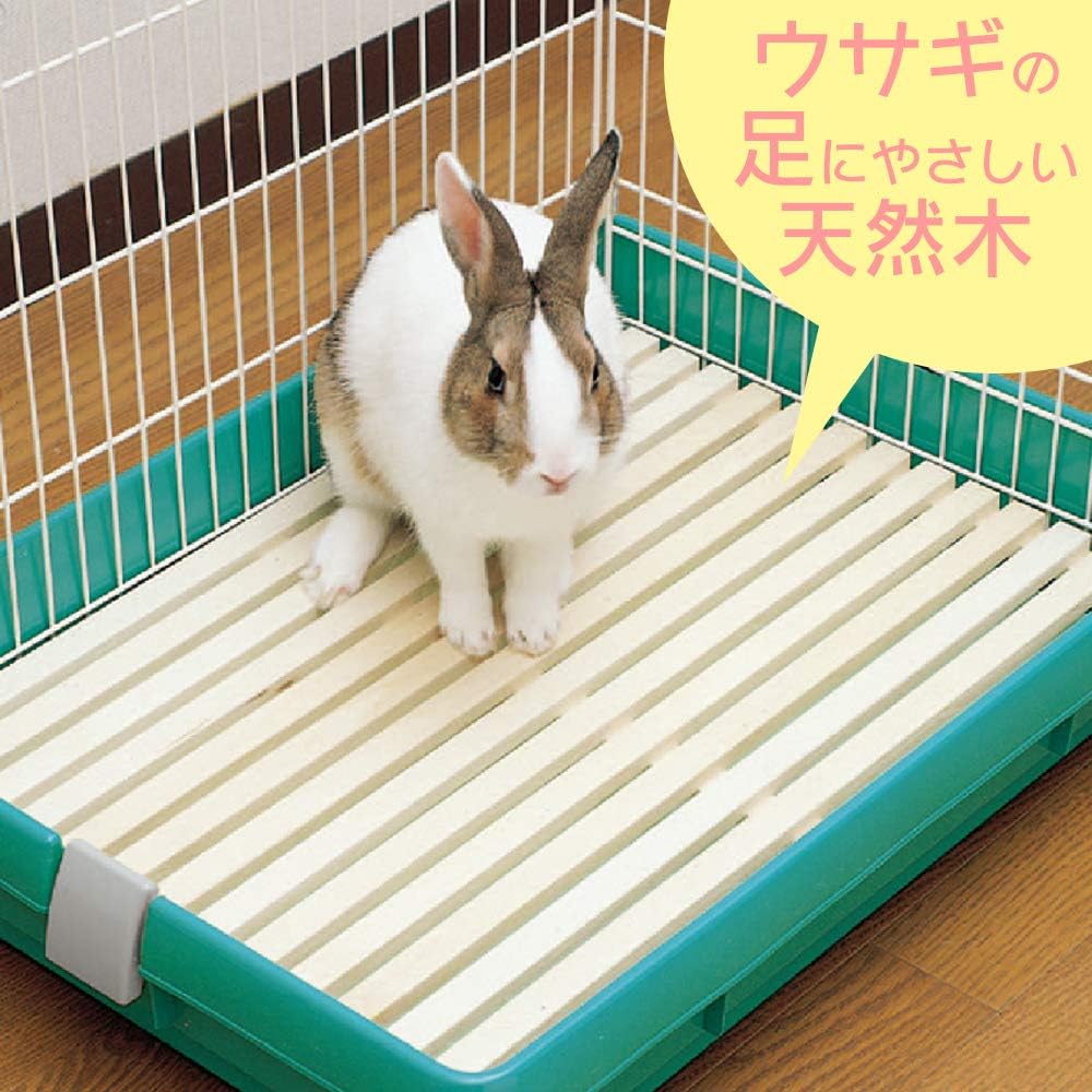 アイリスオーヤマ Iris Ohyama UK-650 Rabbit Cage, Pastel Green