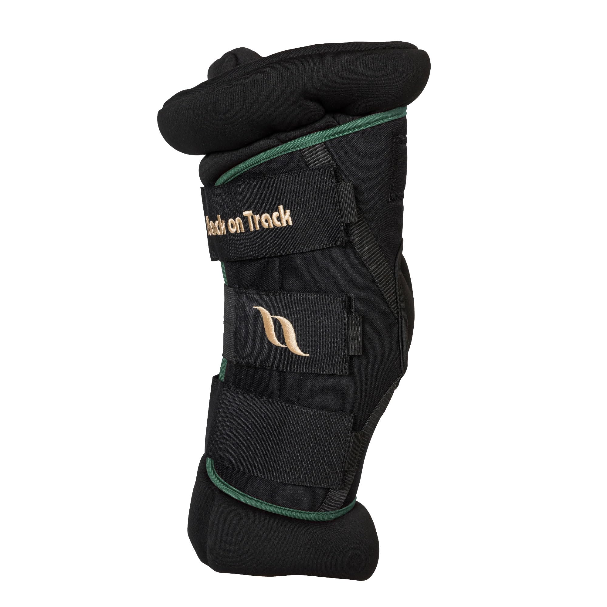 Back on Track Royal Padded Hock Boots Deluxe for Horses 2022 with Welltex Technology