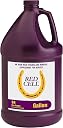 red cell Top1商品