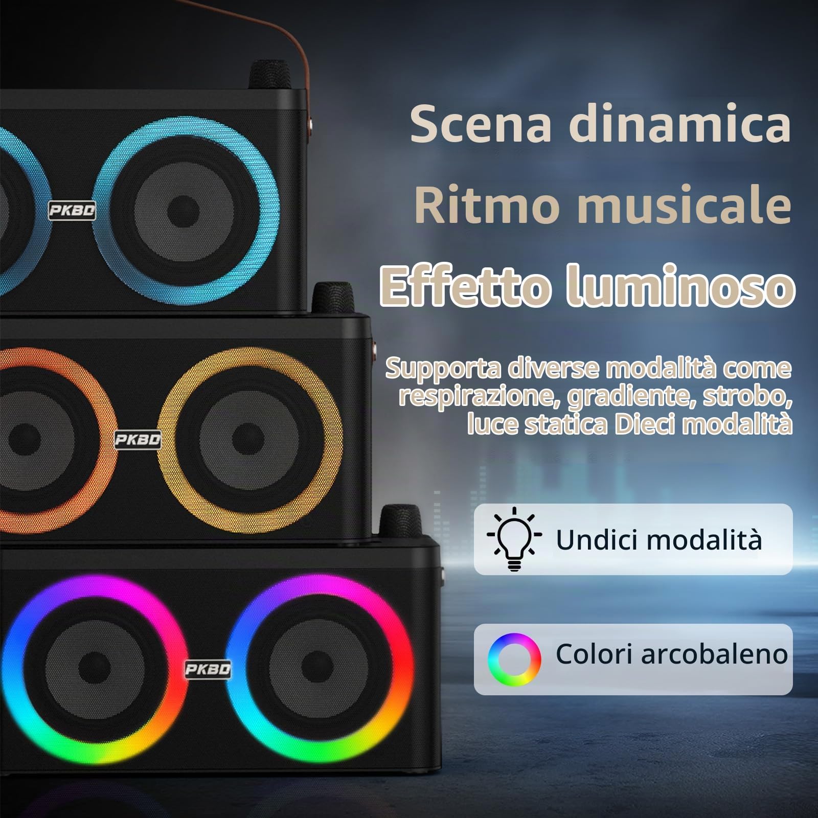 Karaoke con Supporto per Telefono/Tablet, per Casa e Feste | Con Due Microfoni Wireless/Luci LED /Sistema PA, Positionnement du Microphone d'Appoint