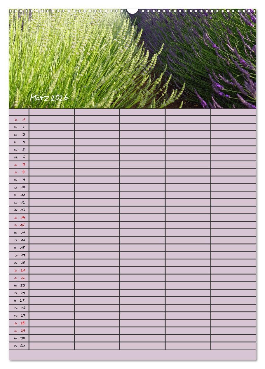 Naturzauber Lavendel - Familienplaner (hochwertiger Premium Wandkalender 2026 DIN A2 hoch), Kunstdruck in Hochglanz: Lavendel in England mit unterschiedlichen Farbnuancen. (CALVENDO Natur)