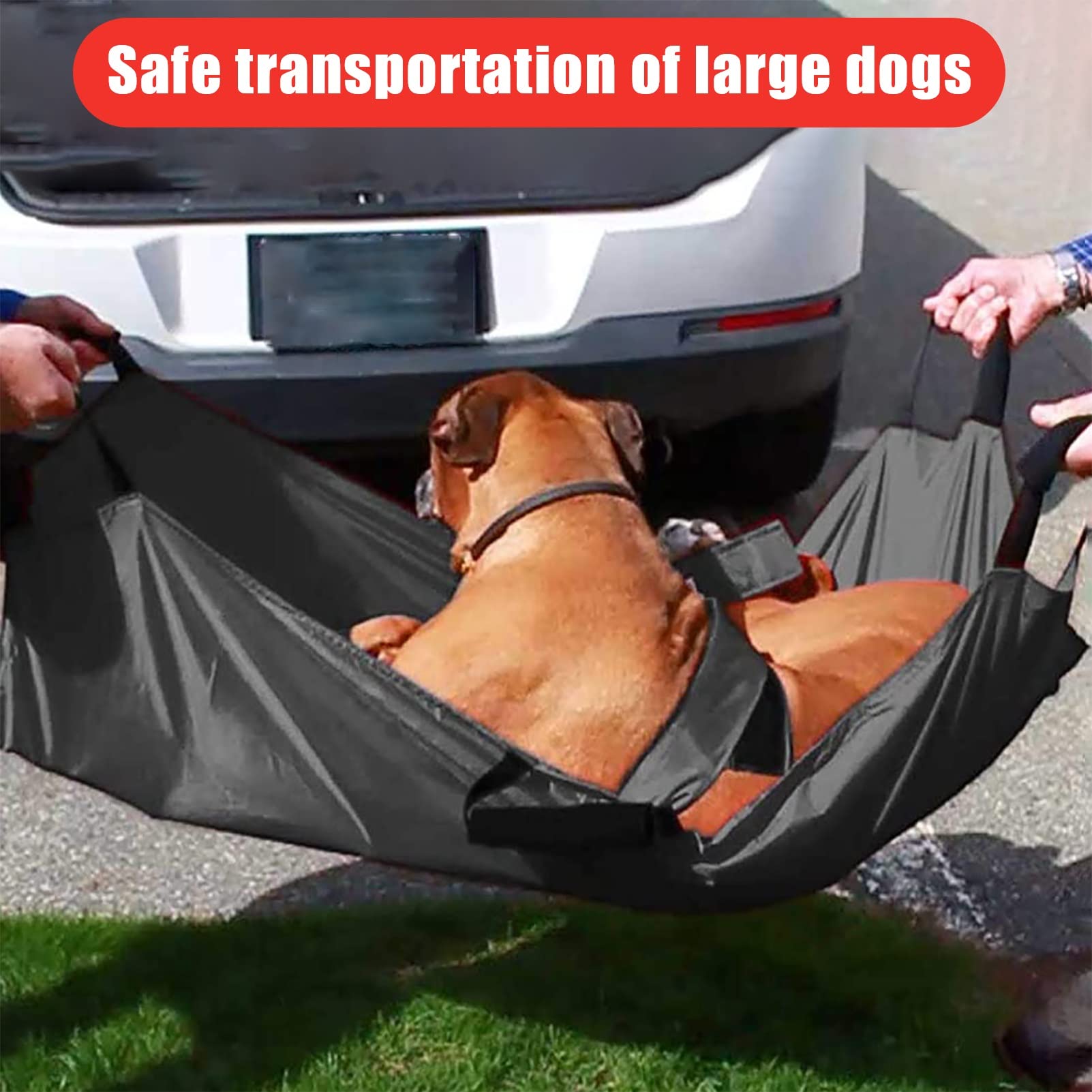 Civière De Transport Pour Chiens, Transporteur De Sauvetage D'urgence Pour Animaux Avec Sangle De Sécurité, Feuille De Glissement D'aide, Avec Sangle De Sécurité Pour Garder Votre Animal En Sécurité