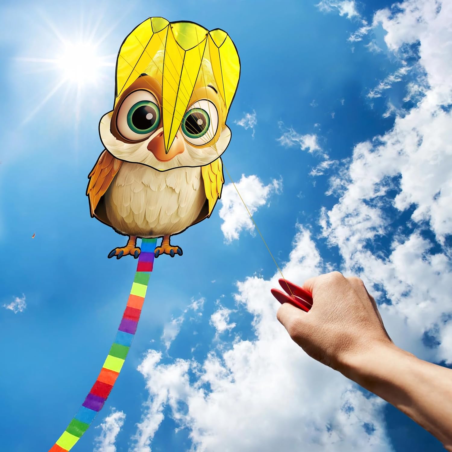 HENGDA KITE Soft Kite for Kids Beginners Kites and Adults,Well Made,Cute Design,Easy to Carry and Assemble