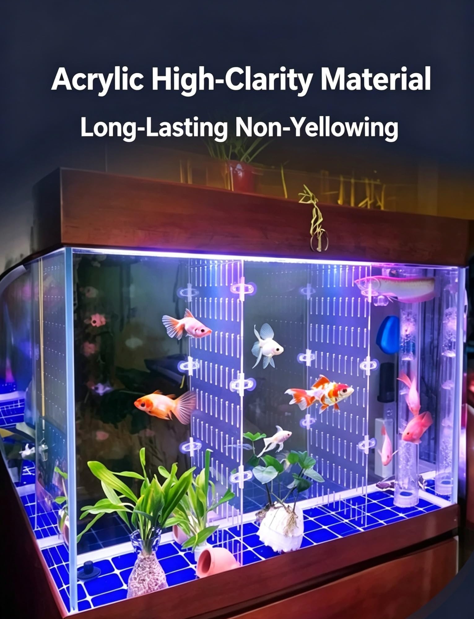Divisor acrílico for Acuario, Separador Transparente for pecera