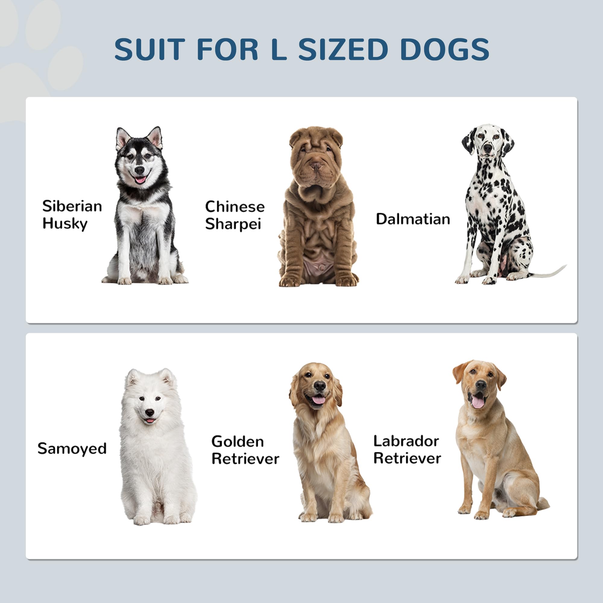 PawHut Cuencos elevados para Perros Grandes, estación de alimentación con Soporte, Almacenamiento, Color Gris