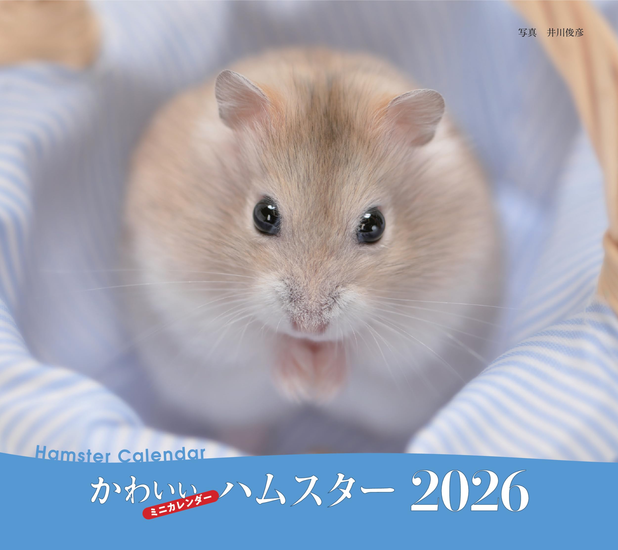 2026年カレンダー かわいいハムスター (誠文堂新光社カレンダー