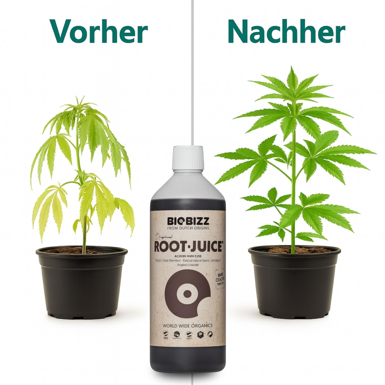 Weedness BioBizz Root Juice 1 Liter - Wurzeldünger Wurzelstimulator Grow Bio Organischer Flüssig Wurzelwachstum Wurzelaktivator Wurzelhormon