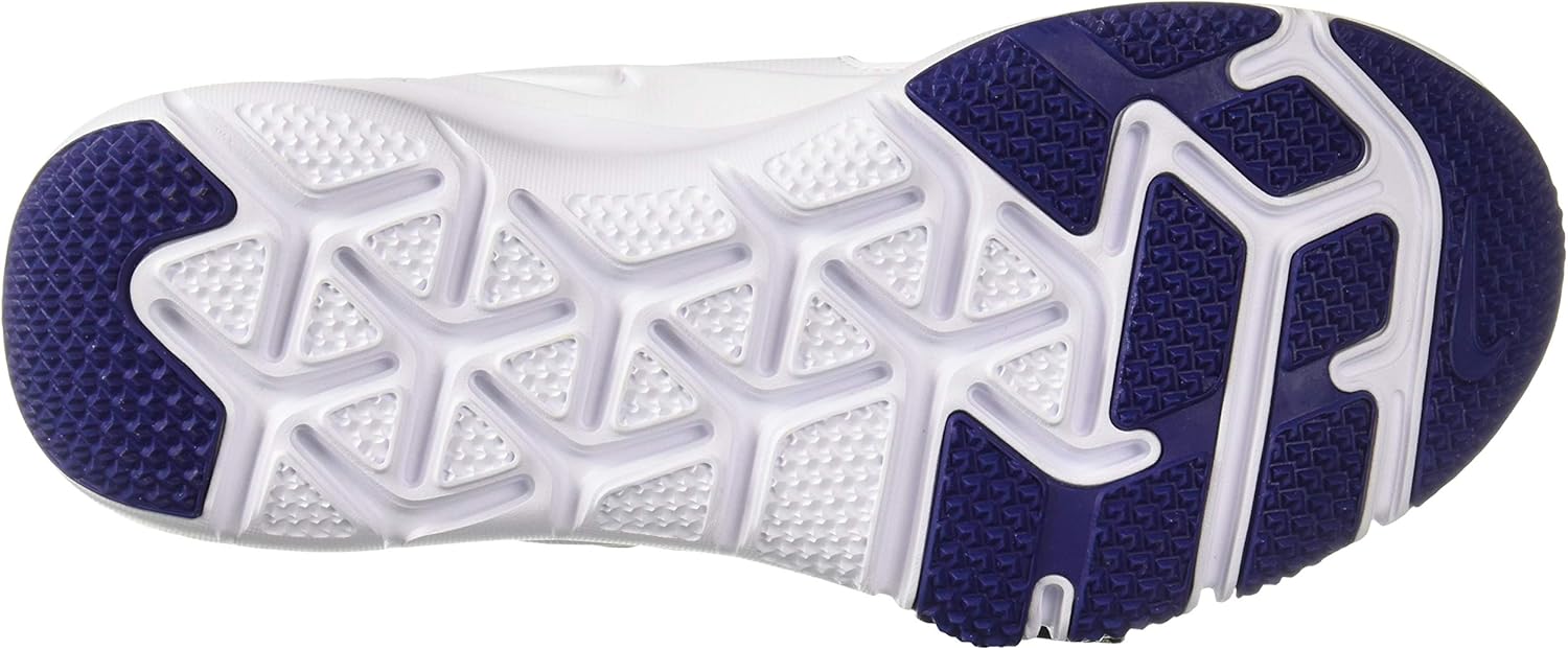 Nike Men's Flex Control TR3 Sneaker 9 Regular US Wolf Grey/Wolf Grey - Deep Royal