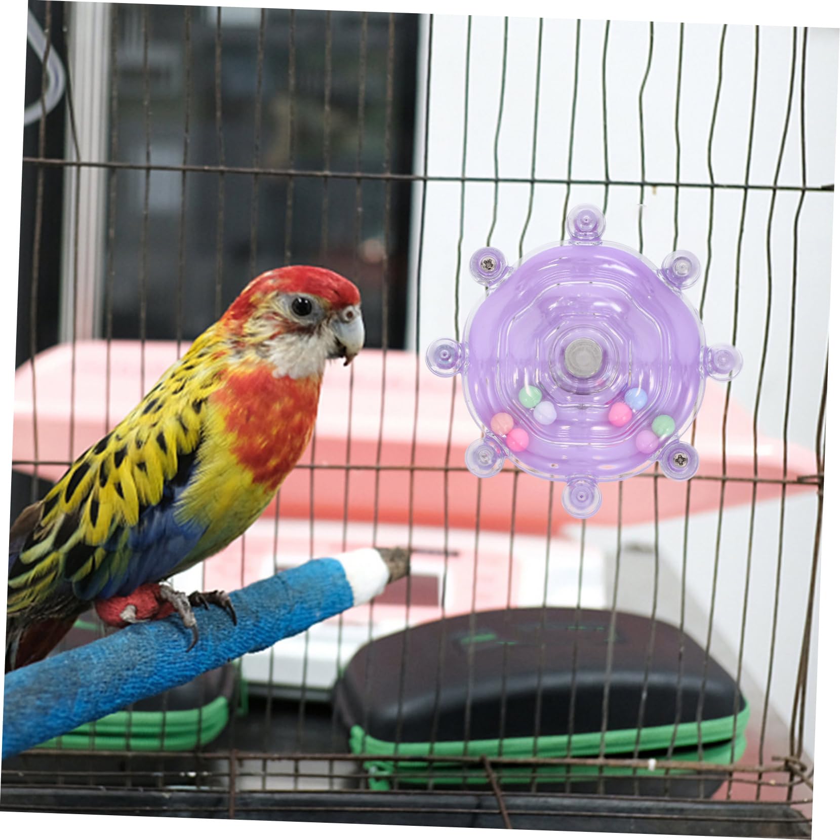 BESPORTBLE 5pièces Bird Swivel Wheel Toy Jouet Interactif Rotatif pour Oiseaux Jouet à Mâcher Et Exercice pour Perroquets Et Perruches pour Vos Petits Compagnons