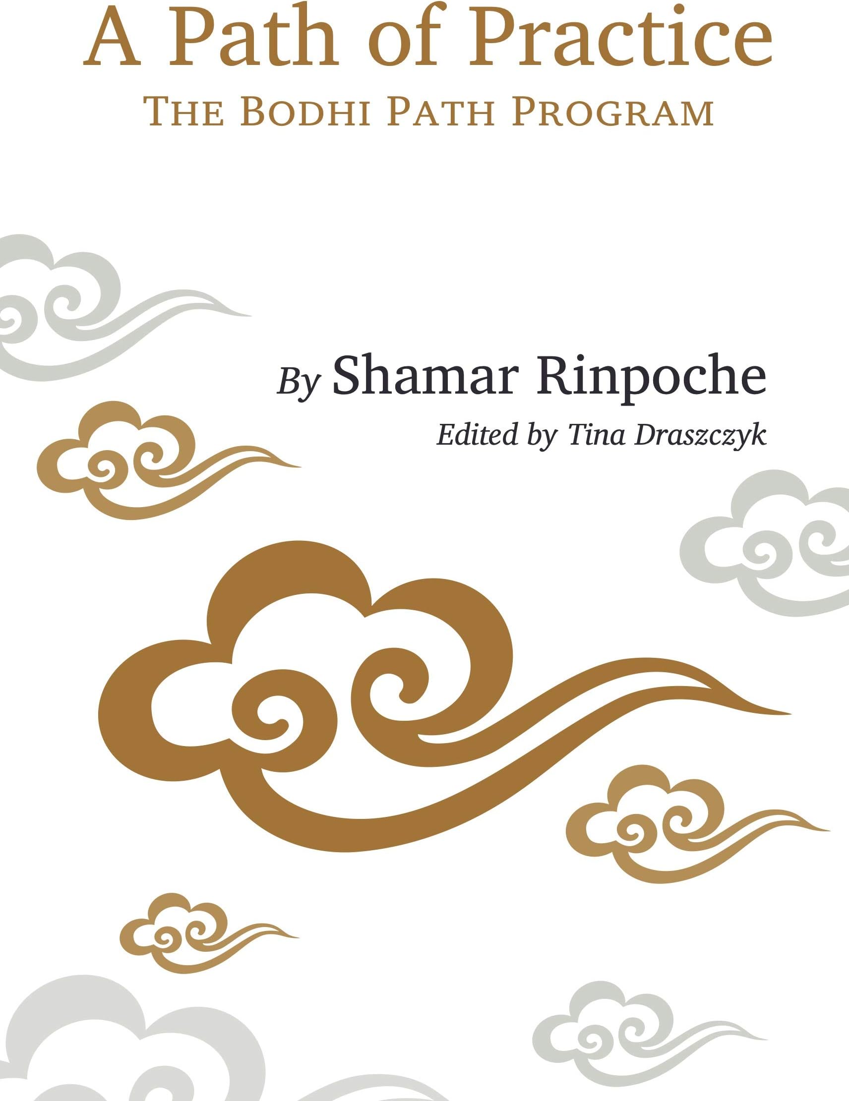 A Path of Practice: The Bodhi Path Program