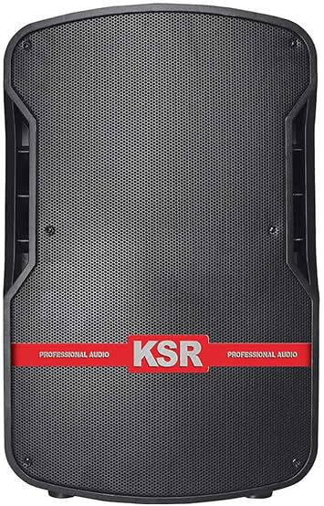 Bafle Amplificado Recargable de 15” Bluetooth con 12,000 W PMPO / 100 W RMS  Ecualizador 5 bandas : Amazon.com.mx: Electrónicos