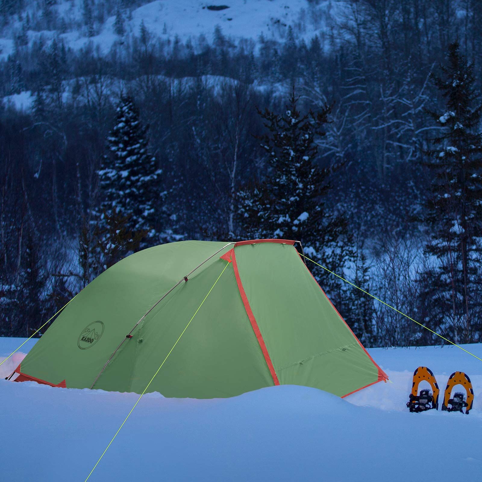Amazon.com : KAZOO 2／4 Person Camping Tent Outdoor Waterproof