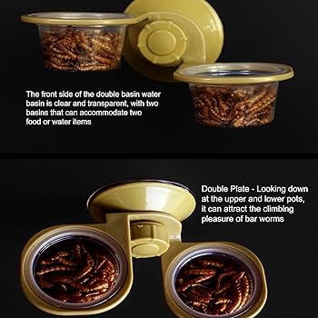 ぽん　爬虫類水入れ　10個セット 楽天市場】【送料無料】PAVIKE爬虫類水入れ【?18*10*2cm】爬虫類