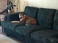 Review Image by Just Me Just Me