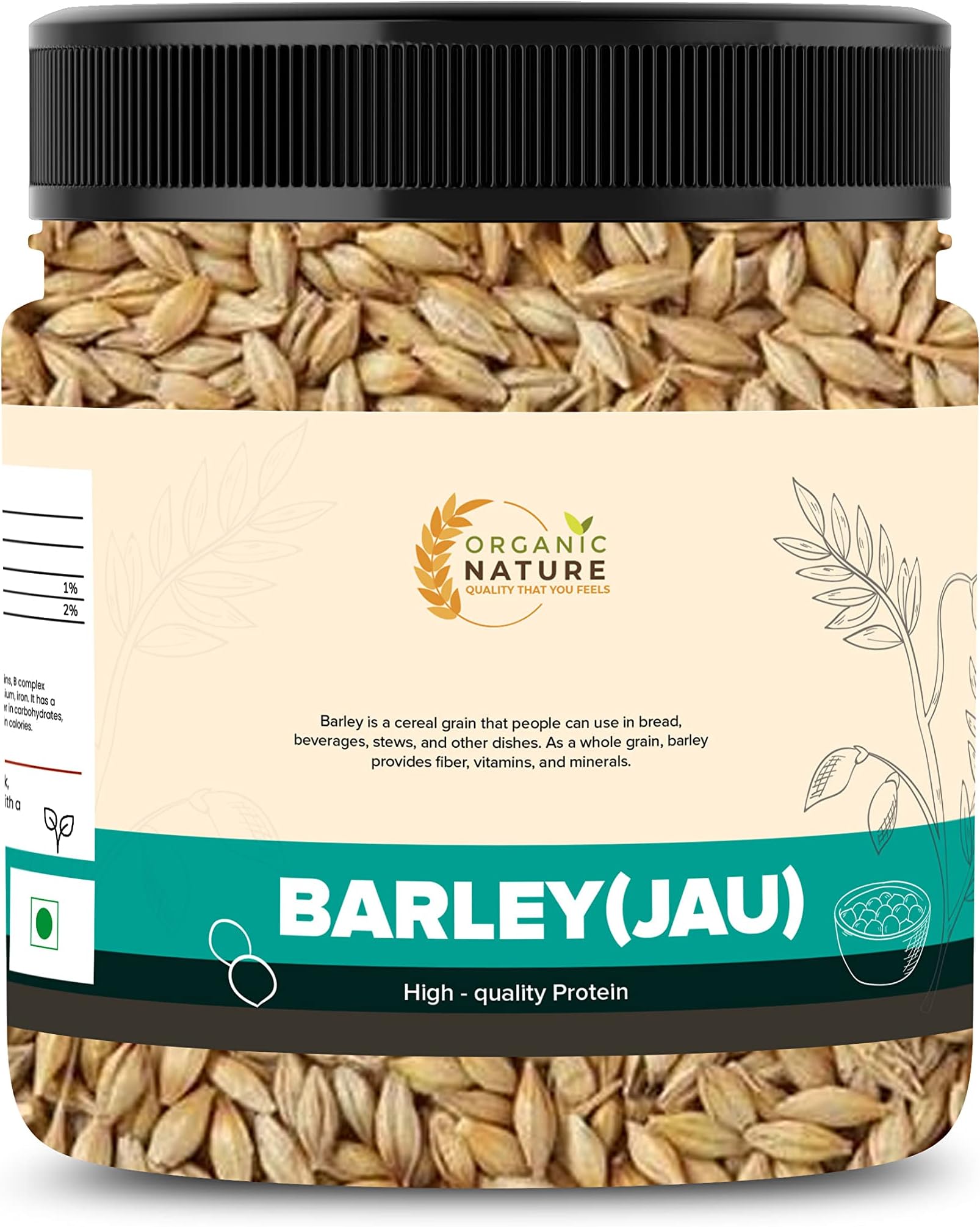 Raw Barley Seeds Jau Barley Grain 250 Grams (Pack of 1 of 250 Grams) Jar Pack