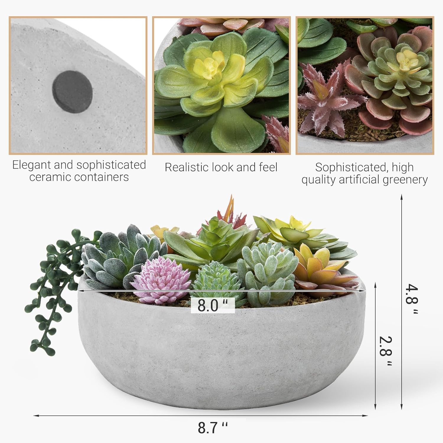 Amazon.co.jp: MyGift 8インチ人工多肉植物Arrangement inコンクリート
