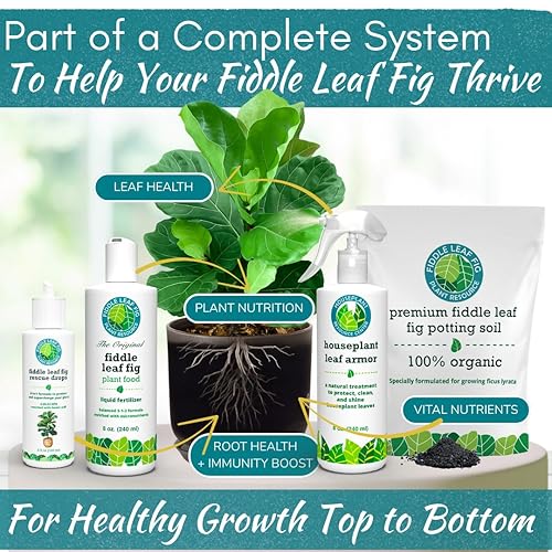 Miniatura 6 de Gotas de rescate de higos de hoja de violín, trata la pudrición de la raíz, las manchas marrones, las gotas de las hojas y el estrés, concentrado de