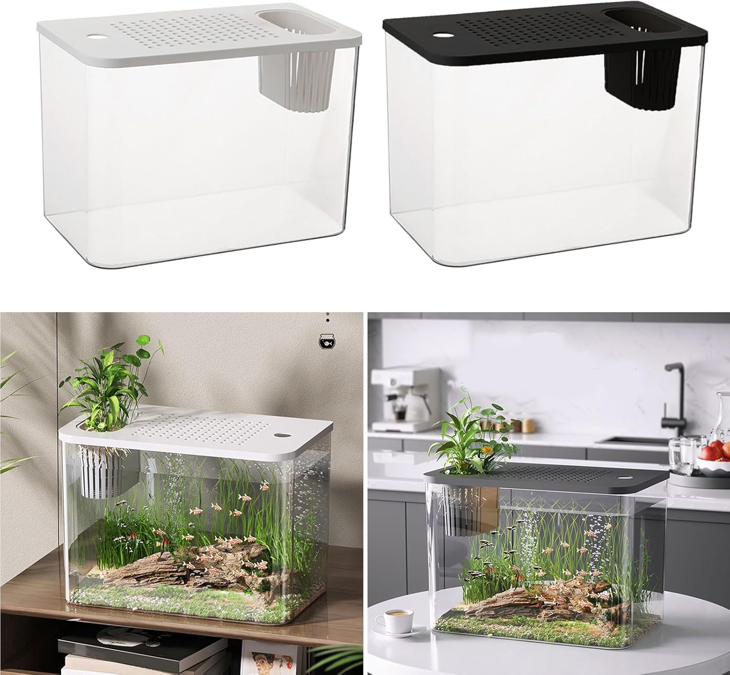 Shatter-Resistant Aquarium with Jumpguard Cover Compact Fish for Tabletop Decoration & Live Plant Display Fishtanks with Lid