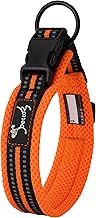 PETTOM Collier pour Chien, Collier Réglable et Rembourré pour Chien Gros Moyen Petit avec Bande Réfléchissante(Orange S)