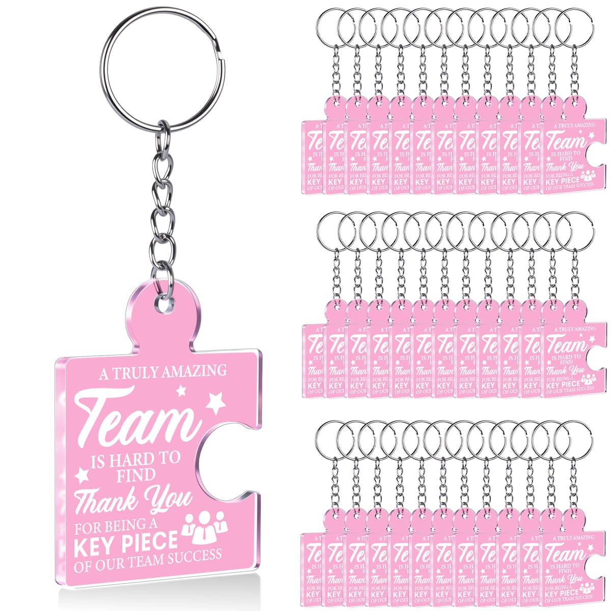 Team Appreciation Gifts Bulk Thank You Keychains for Coworkers
