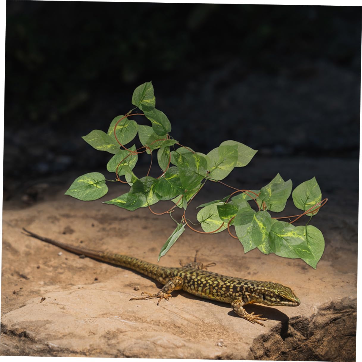 Plantas para Reptiles para Terrarios 6 Piezas Enredaderas Artificiales Colgantes de Plástico Decoración para Jaulas de Reptiles Accesorios para Terrarios sin Mantenimiento