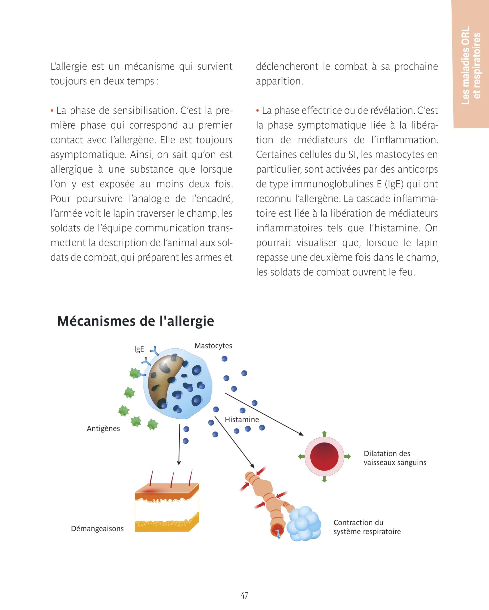 Le guide familial de la santé - ORL Cardiovasculaire Dermatologie Système digestif - Tome 1: Tous les conseils issus des médecines complémentaires pour vous accompagner