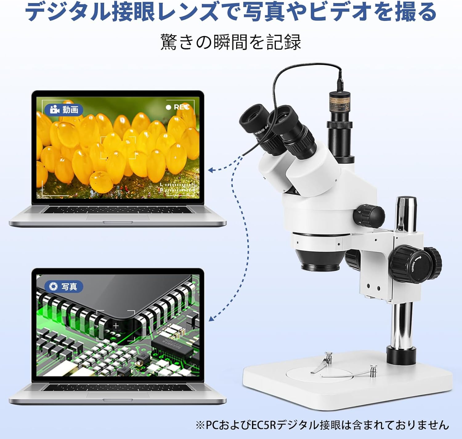 User observing through the microscope