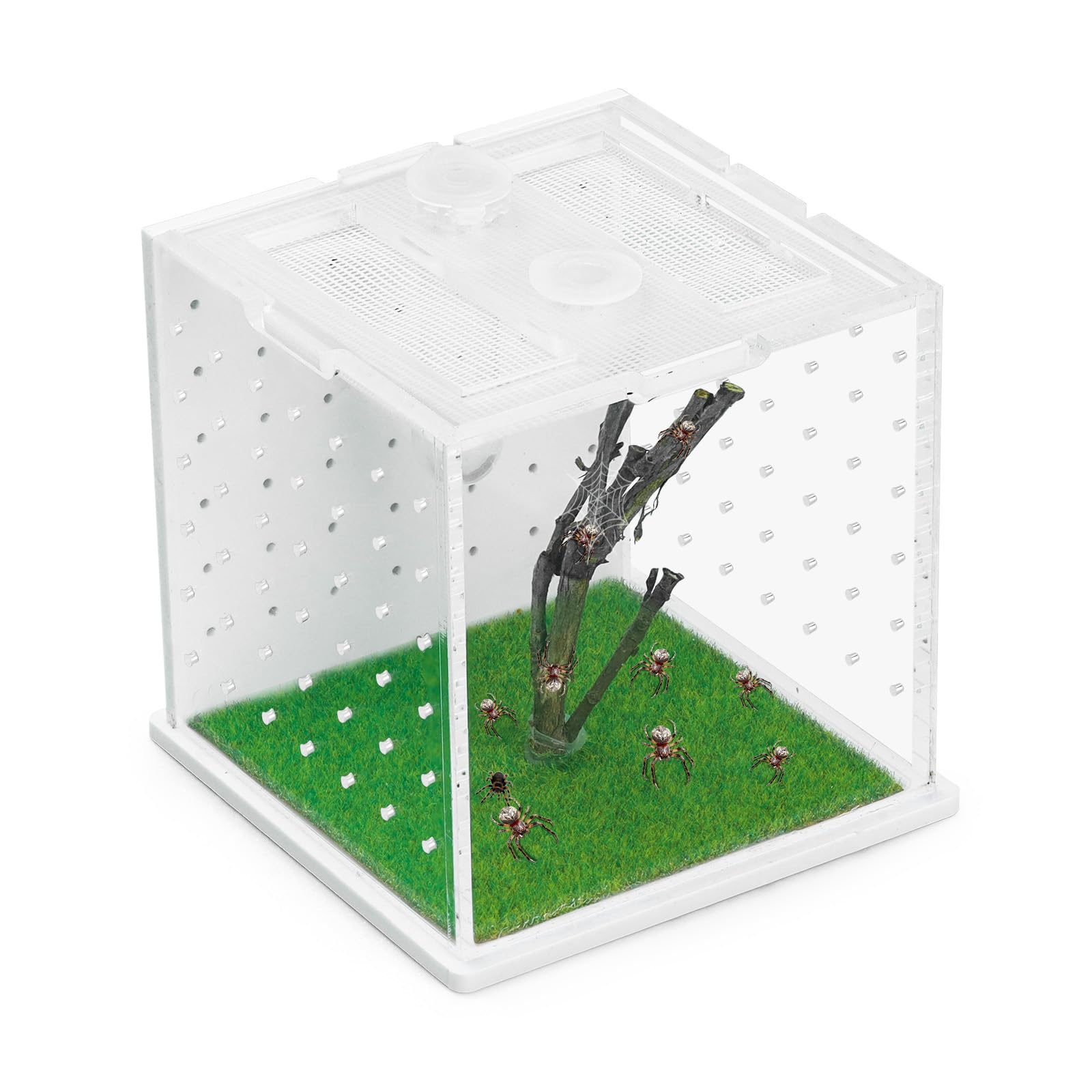 Acrylic Jumping Spider Enclosure, 2.95×2.95×2.87in Transparent Reptile Terrarium