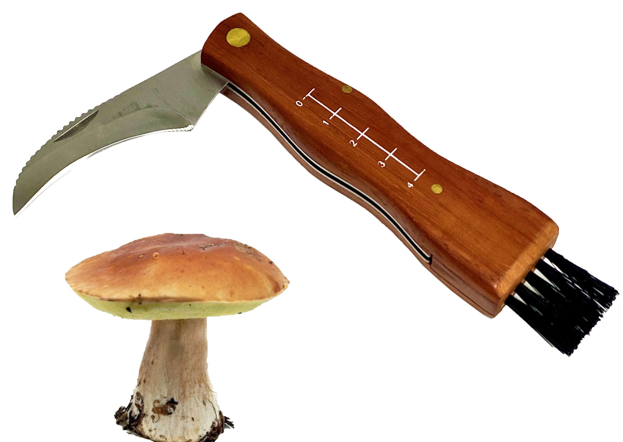 Couteau + panier à dos en osier porte champignons vert gerla panier montagne cueillette champignons cm 41 x 28,5 x 38,5 h